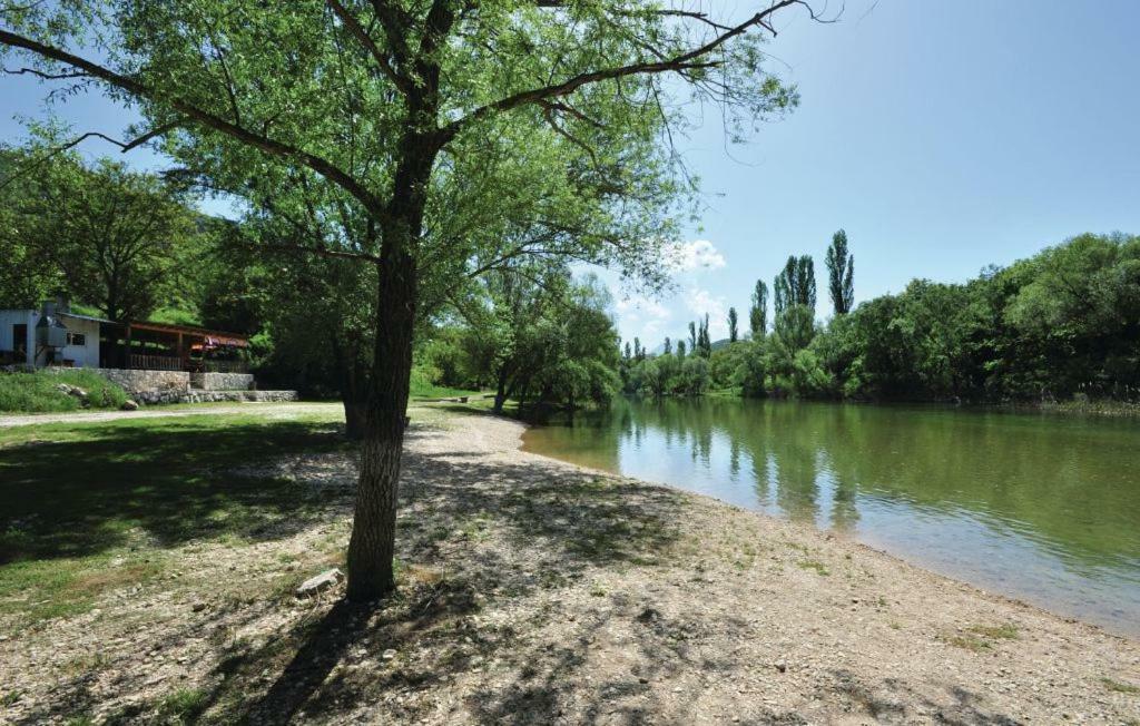 Apartment Kraljevic Blato na Cetini Dış mekan fotoğraf